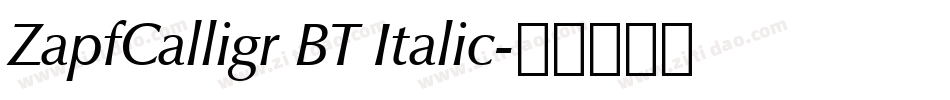 ZapfCalligr BT Italic字体转换